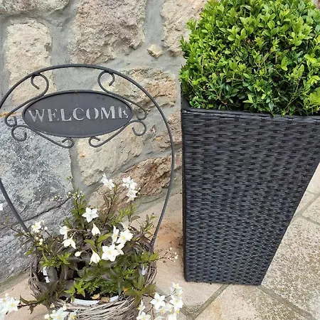 Bed & Breakfast Les Arpents Verts Momignies