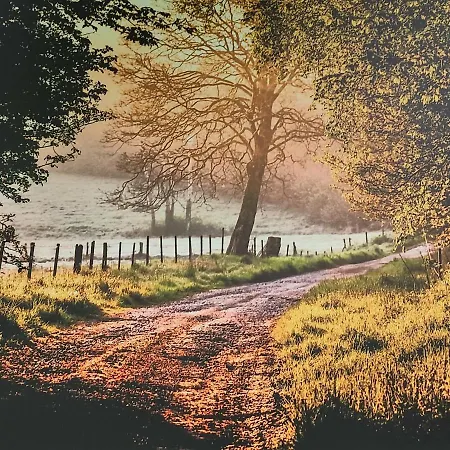 Les Arpents Verts Bed and breakfast 3*