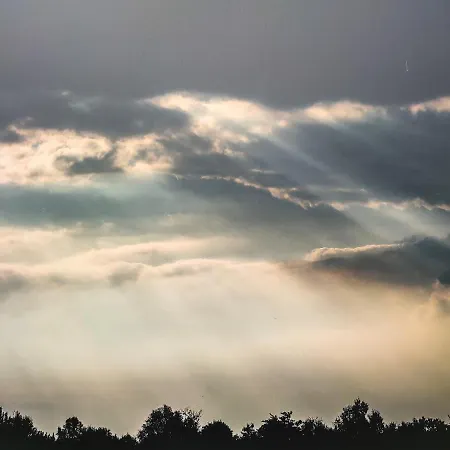 Les Arpents Verts Alojamento de Acomodação e Pequeno-almoço Momignies