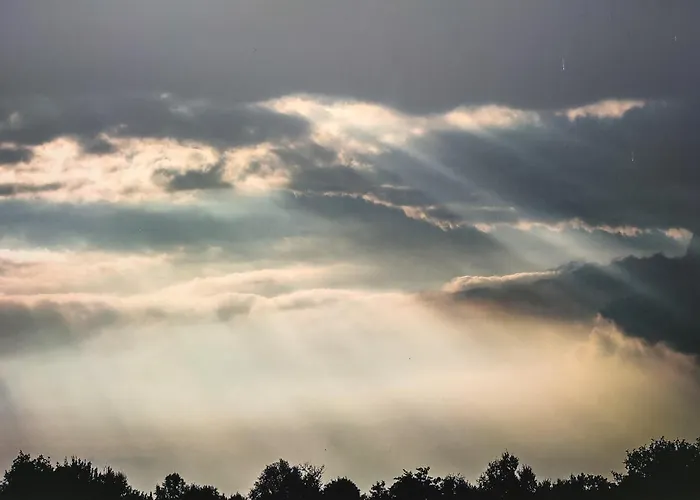 Les Arpents Verts Couette-café Momignies